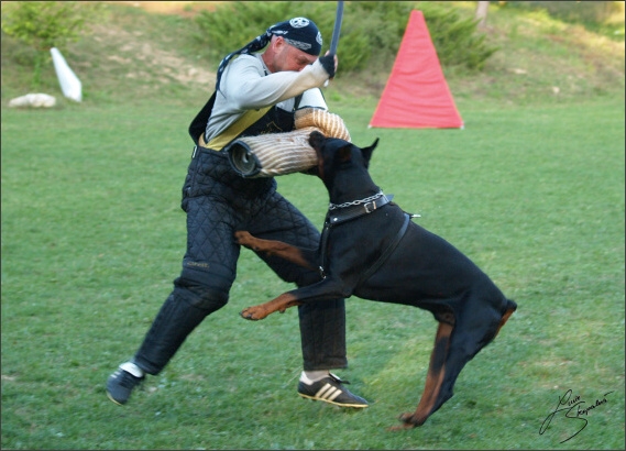 Summer training camp - Jelenec - 2007